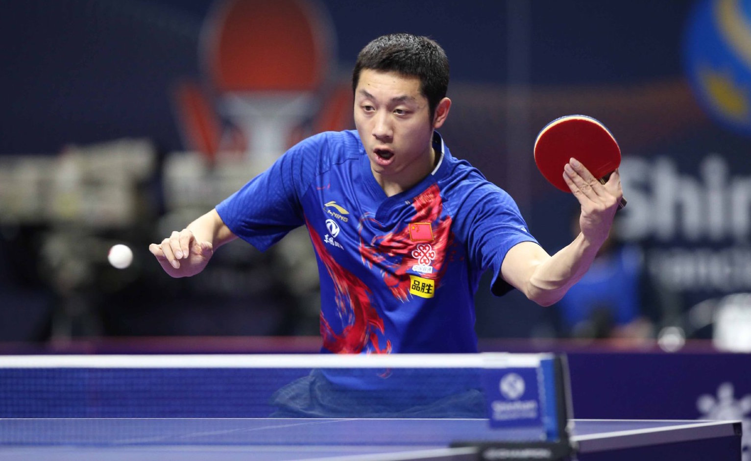 尤其亮眼的 尤其亮眼的